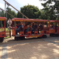 Ausflug zur Tolk-Schau